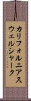 カリフォルニアスウェルシャーク Scroll