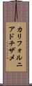カリフォルニア・ドチザメ Scroll