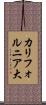 カリフォルニア大 Scroll