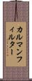 カルマンフィルター Scroll