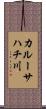 カルーサハチ川 Scroll