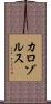 カロゾルス Scroll