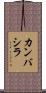 カンバシラ Scroll