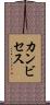カンビセス Scroll