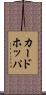 カードホッパ Scroll