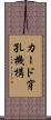 カード穿孔機構 Scroll