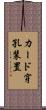 カード穿孔装置 Scroll