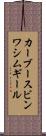 カーブースビンワシムギール Scroll