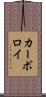 カーボロイ Scroll