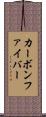 カーボンファイバー Scroll