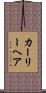 カーリーヘア Scroll
