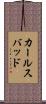 カールスバッド Scroll