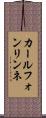 カールフォンリンネ Scroll