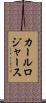 カールロジャース Scroll