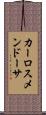 Carlos Mendoza Scroll