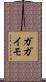 ガガイモ Scroll