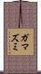 ガマズミ Scroll