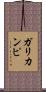 ガリカンピ Scroll
