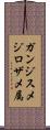 ガンジスメジロザメ属 Scroll