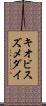 キオビスズメダイ Scroll