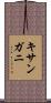 キサンガニ Scroll
