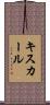 キスカール Scroll