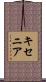 キセニア Scroll