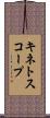 キネトスコープ Scroll