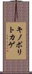 キノボリトカゲ Scroll