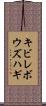 キビレボウズハギ Scroll
