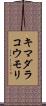 キマダラコウモリ Scroll