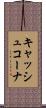 キャッシュコーナ Scroll