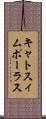 キャトスィムポーラス Scroll