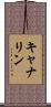 キャナリン Scroll