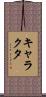 キャラクタ Scroll