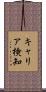 キャリア検知 Scroll