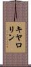Caroline Scroll
