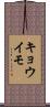 キョウイモ Scroll