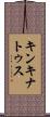キンキナトゥス Scroll