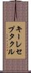 キーレセプタクル Scroll