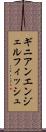 ギニアンエンジェルフィッシュ Scroll