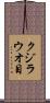 クジラウオ目 Scroll