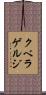 クベラゲルジ Scroll