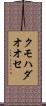 クモハダオオセ Scroll
