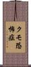 クモ恐怖症 Scroll