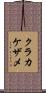 クラカケザメ Scroll