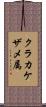 クラカケザメ属 Scroll