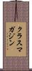 クラスマガジン Scroll