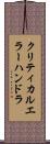 クリティカル・エラー・ハンドラ Scroll