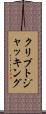 クリプトジャッキング Scroll